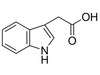 3-吲哚<em>乙酸</em>，CP，97%